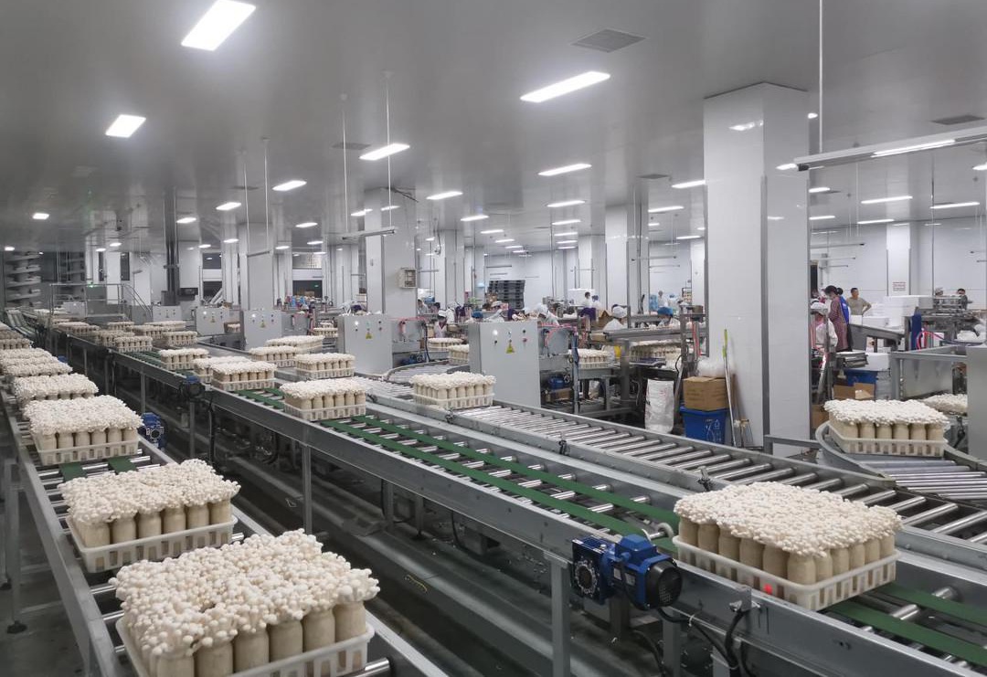 2022年中國倉儲業(yè)市場運(yùn)行情況分析與后期展望